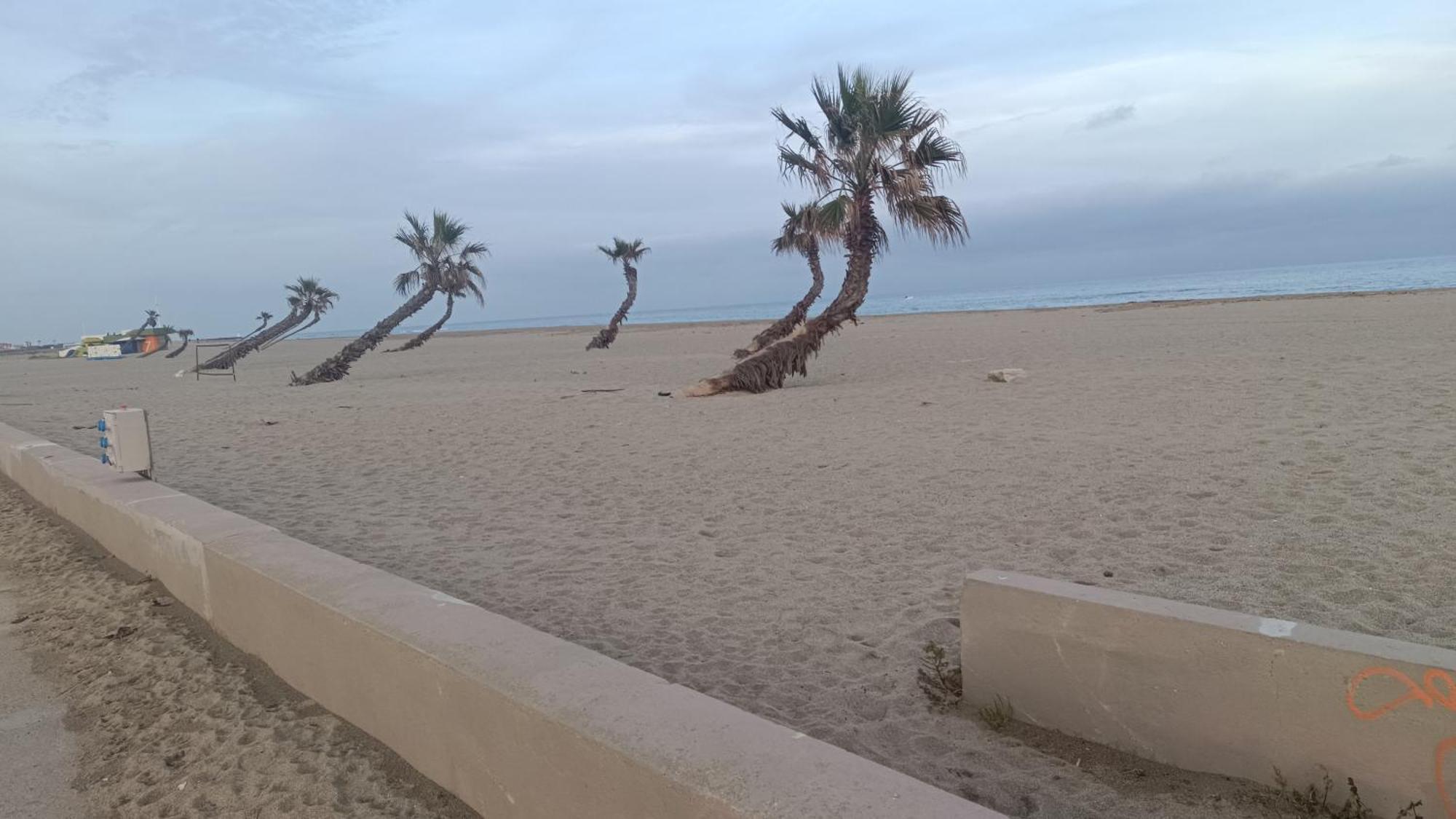 Vila Les 2 Dauphins Le Barcarès Exteriér fotografie
